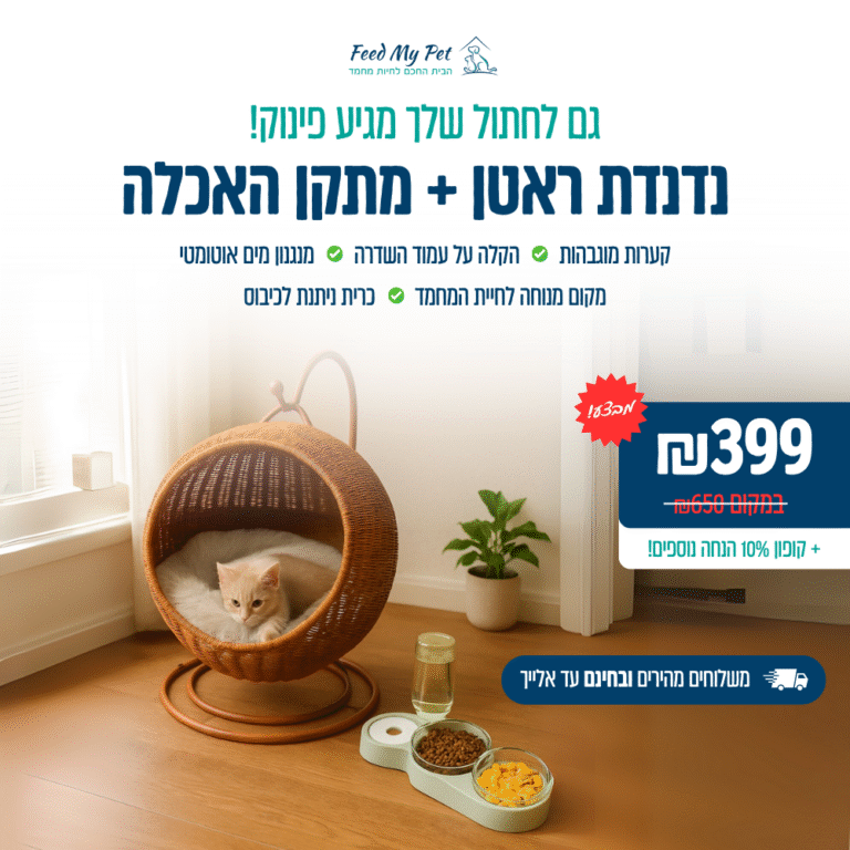 הבאנדל המושלם לחיית המחמד
