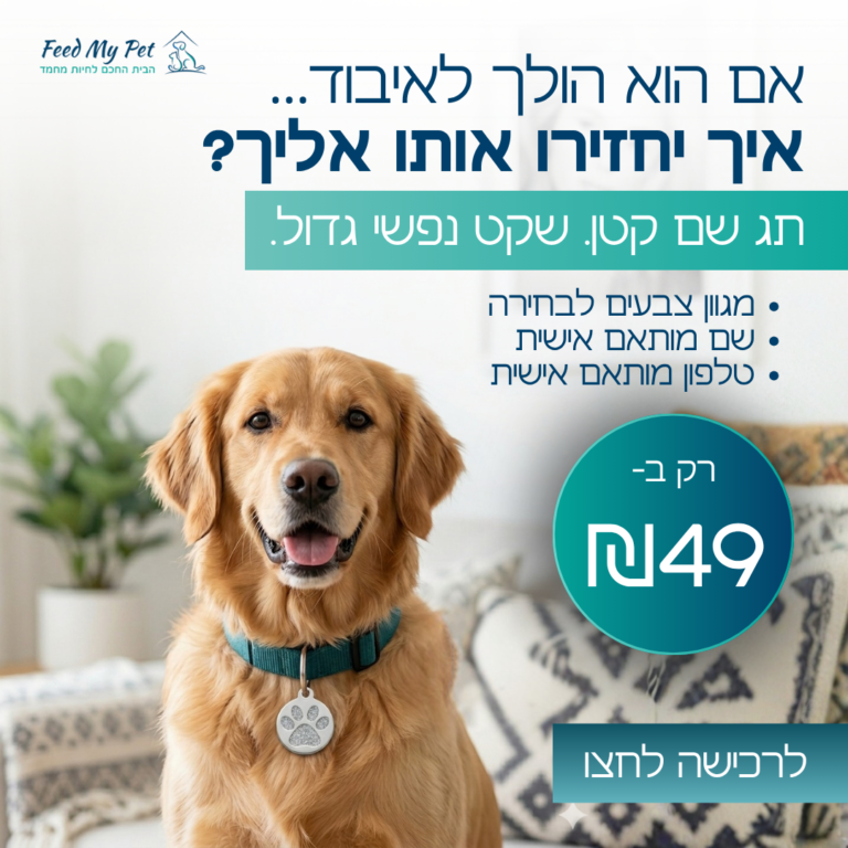 תג שם לכלב/חתול {עצם-כף רגל}